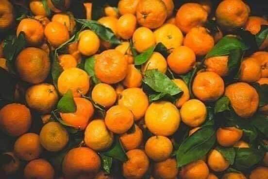 ���� ���� ������ �� ���� ������