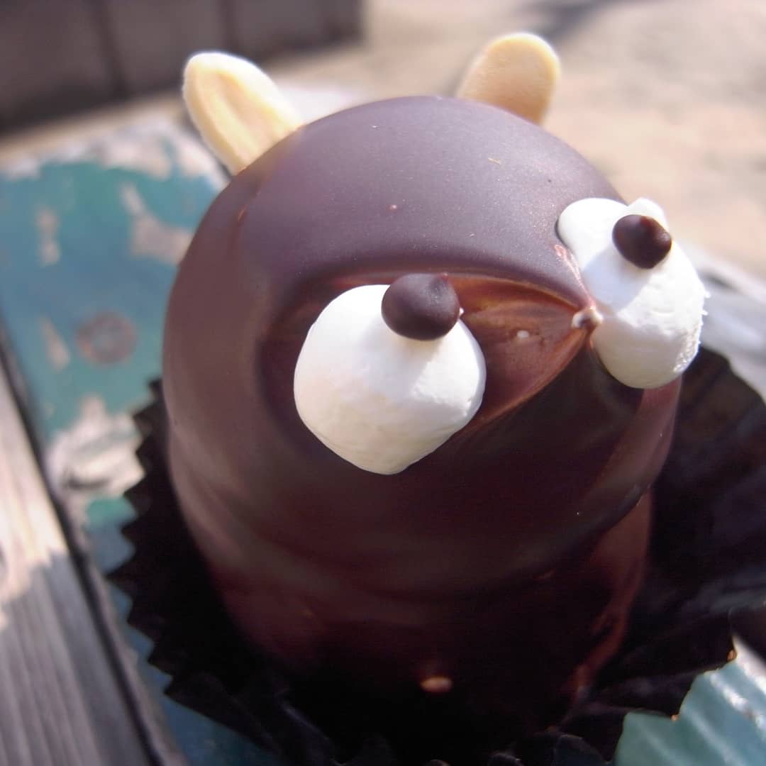 Matsumotouz On Twitter たぬきケーキまつり 最終週となりました岩泉町志たあめや たぬきケーキまつり 11月2日から限定販売の他店コラボは東京都板橋区 フランス製菓と山形県小国町 木村家菓子店のたぬきケーキが登場です Https T Co Ahfwhko7i9 Https T Co