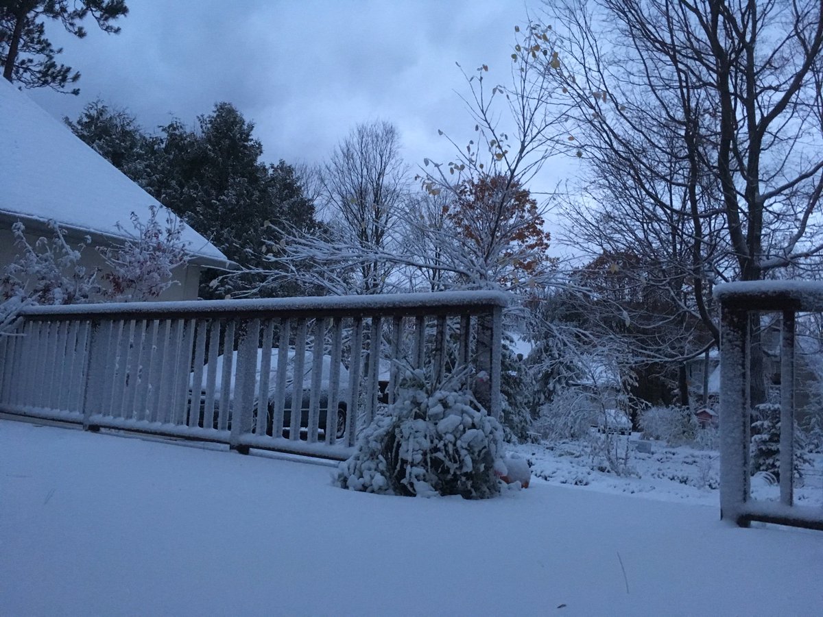 JennJackkson tweet media