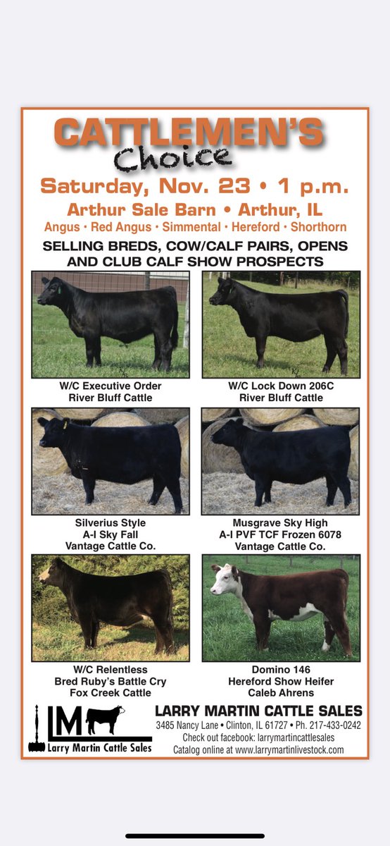 Brock Tarr Tarrbrock Twitter