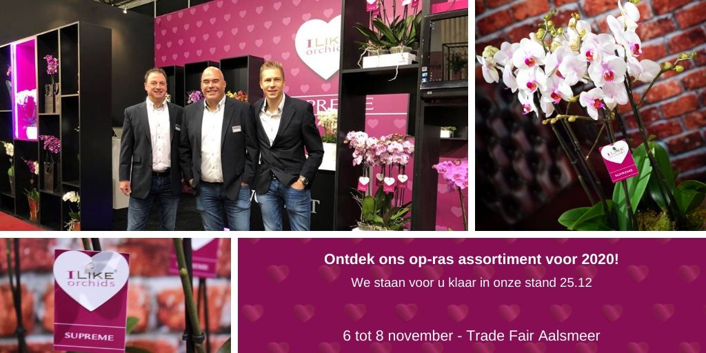 Levoplant's tweet photo. Kom volgende week langs op de Trade Fair Aalsmeer en ontdek ons op-ras assortiment voor 2020! We staan voor u klaar in onze stand 25.12 https://t.co/o6mzhH1qpp