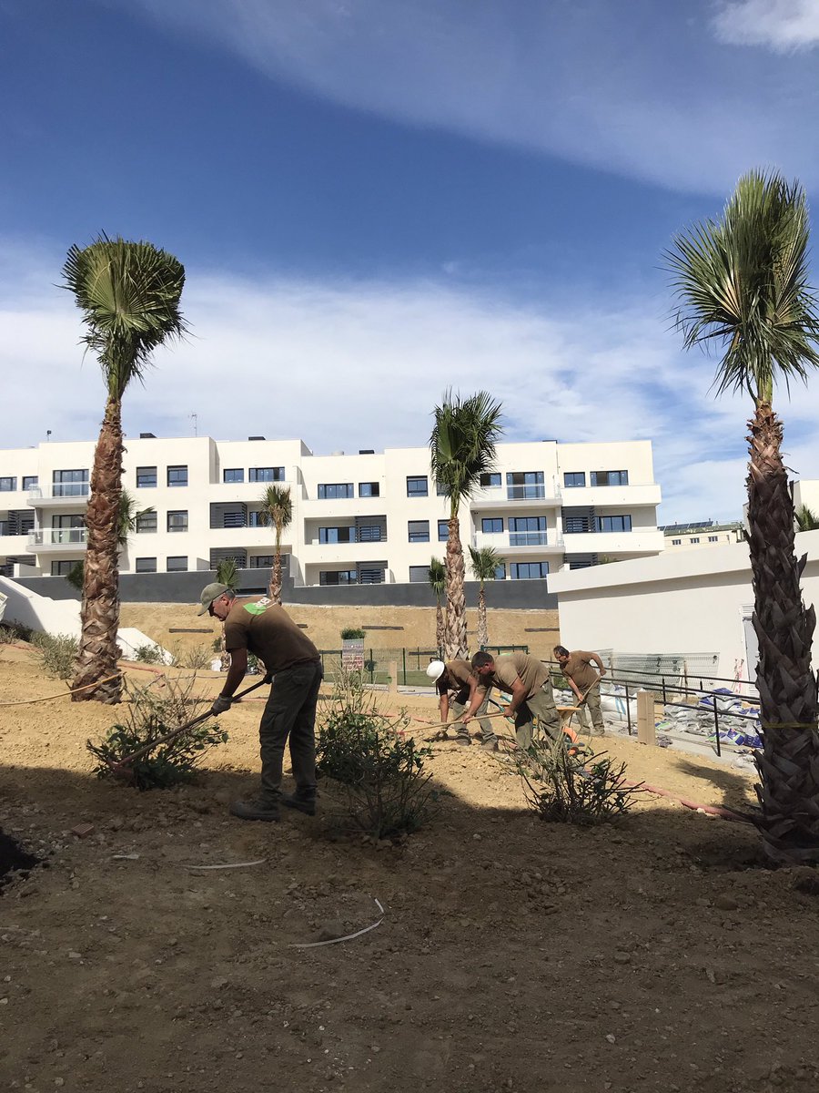 acerespaciosnat's tweet photo. Hoy y durante todo el fin de semana nuestro equipo trabaja para entregar este jardín en Torre del Mar https://t.co/Vx1P3jcMA1