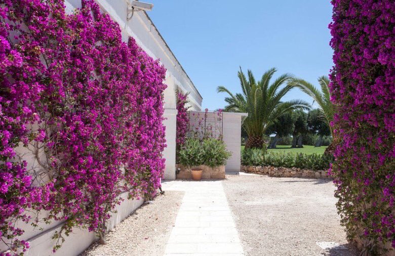 DUO_Conference's tweet photo. We found out about this Puglian gem this week as part of the @RF_Hotels collection and will hopefully be able to recommend it to our guests next year! Where are you dreaming of? https://t.co/VlcDJJeXxG