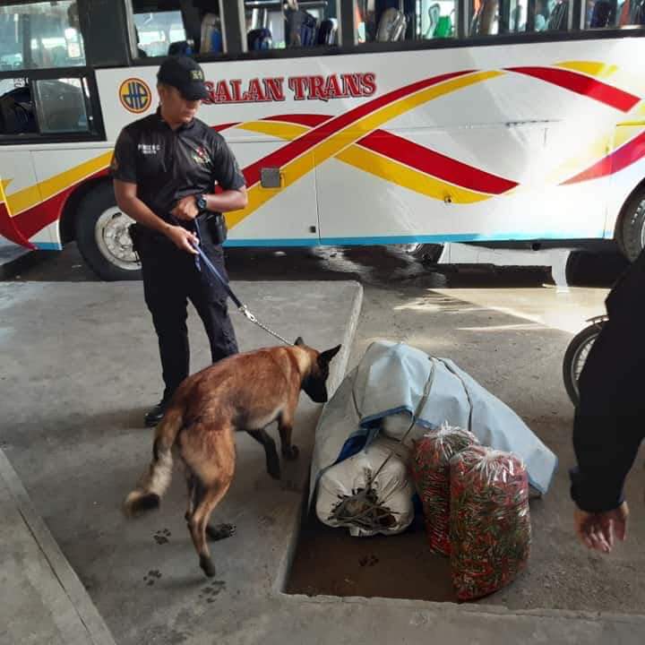 pnp_pro3's tweet photo. NGAYONG UNDAS SISIGURADUHIN NAMING KAYO AY LIGTAS!
#TeamPRO3PaggunitaSaUndas2019
#LigtasUndas2019
#TeamPRO3
#Undas2019 https://t.co/nmMNnENacd