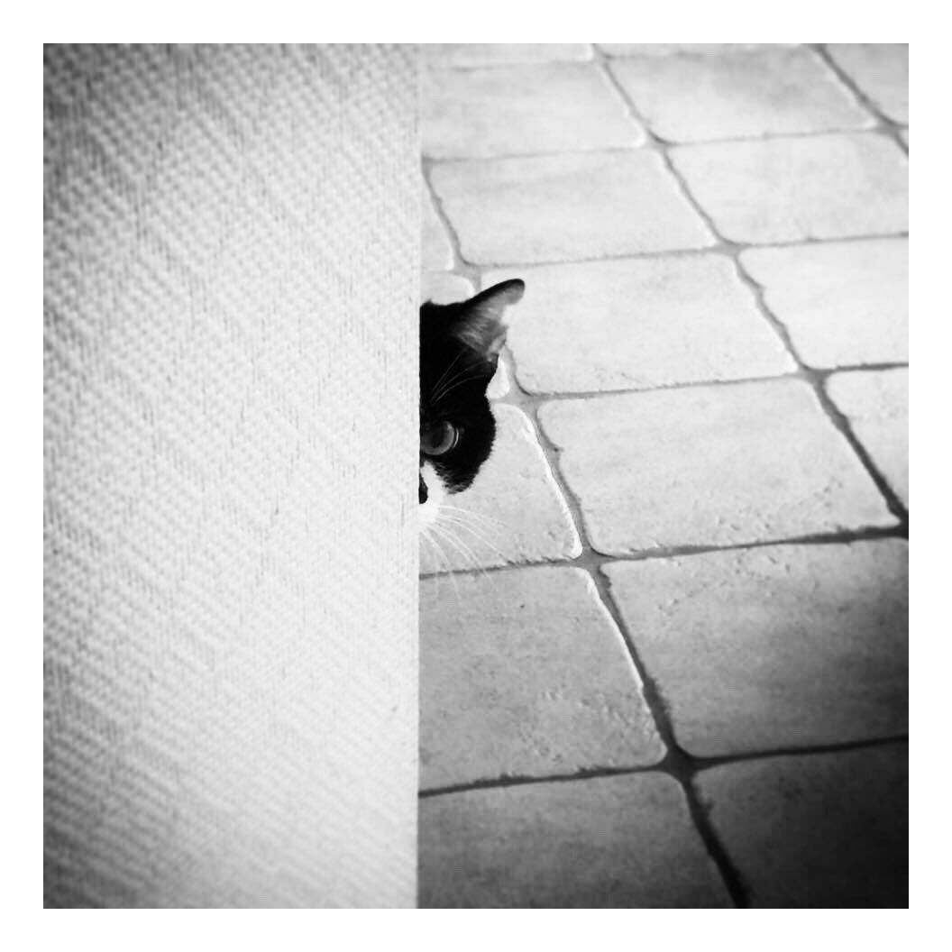 🌈 Tof 2 Lyon 🐻 tweet media