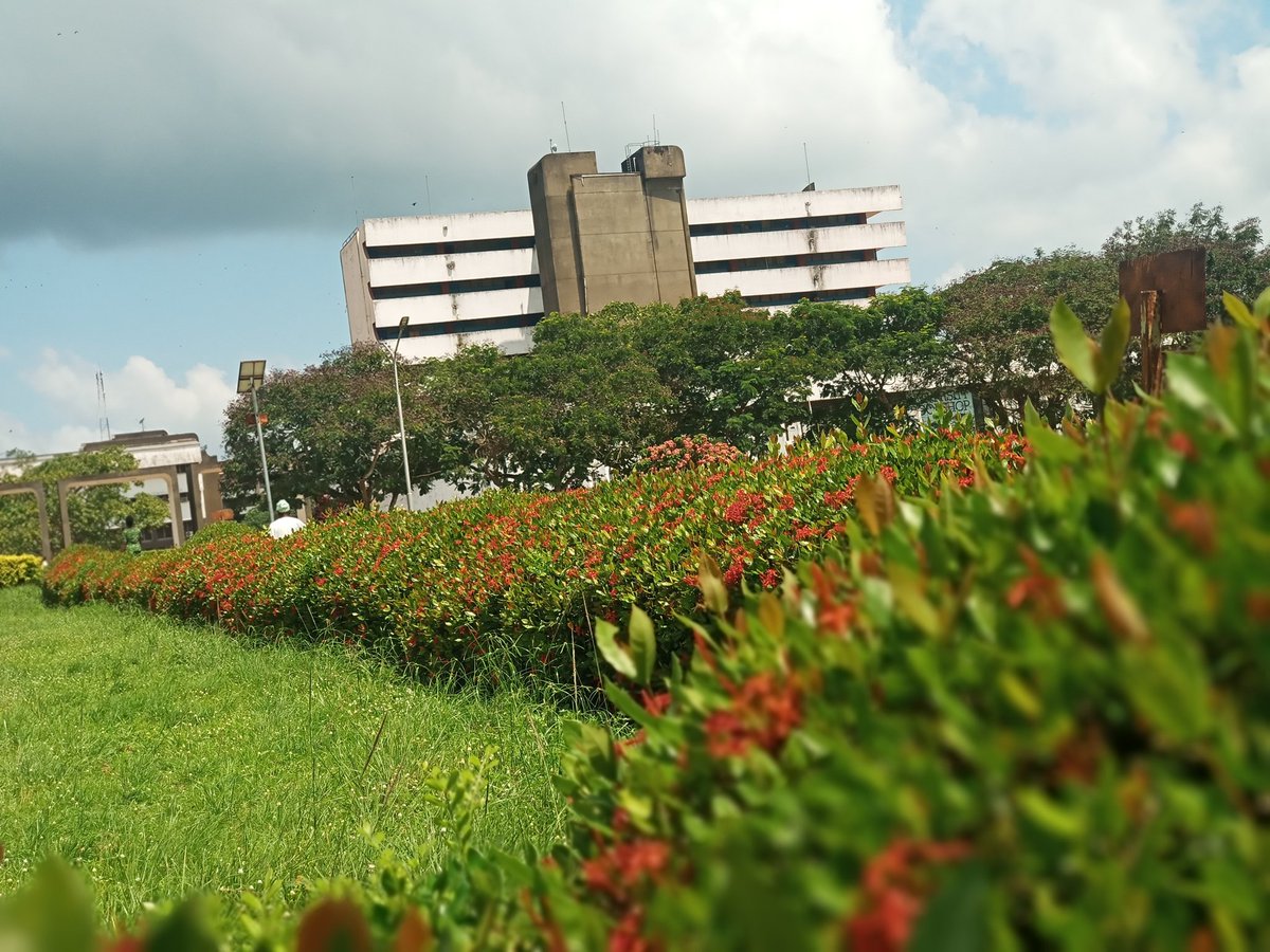 This_isCrown's tweet photo. OAU Senate building
Shots on Infinix zero 5
Portrait cam๐ท @InfinixNigeria
No filter, No editing.
#Insideoau #Infinixzero5 #Sunnyday https://t.co/MBF4emqaz8