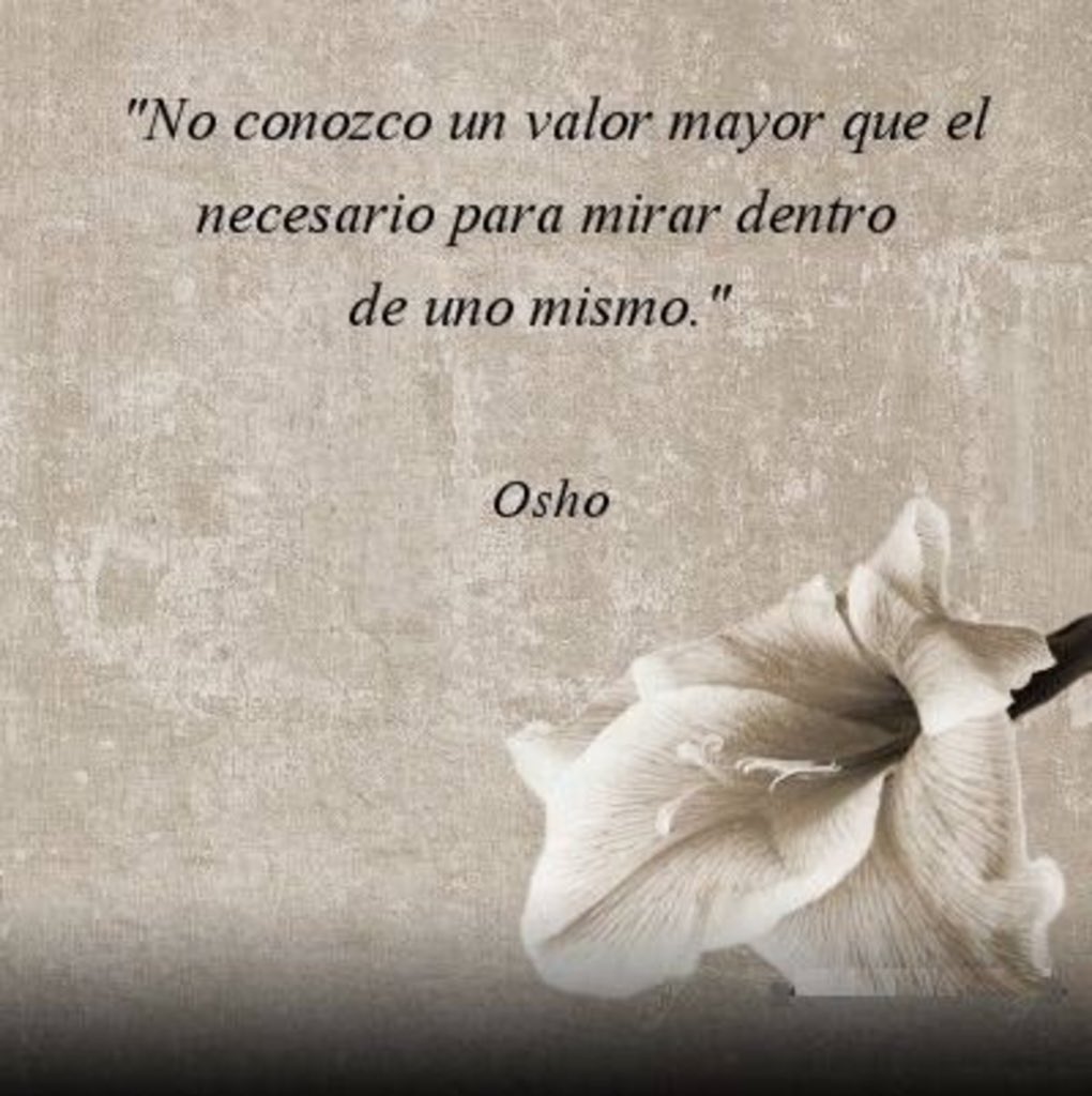Almecid's tweet photo. Ese es el verdadero valor. https://t.co/QzM3hjrQGk