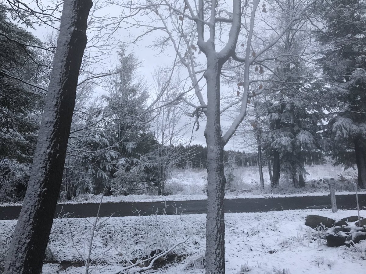 janica_e's tweet photo. Happy November everyone!
.
.
.
#November1st #Snow #Muskoka #RefreshingMorning #LovingIt https://t.co/5GEWVognOw