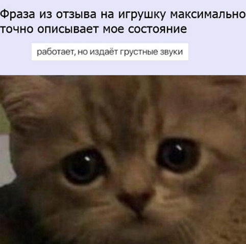 so_mad_so_funny's tweet image. 