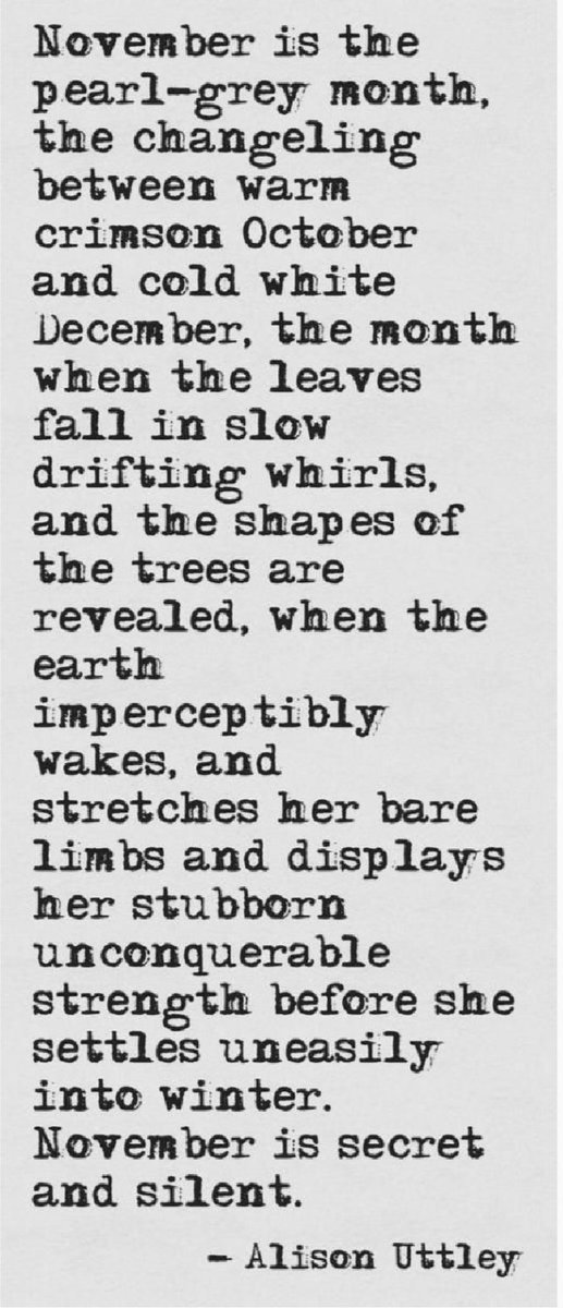FUCKDEPRESSIO13's tweet photo. May the month give you courage, strength, patience, self-love & inner peace ♥️ #November #Chapter11Of12 https://t.co/cVUXDPv7Gg