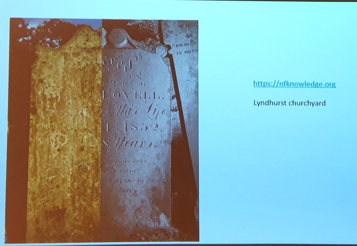 NFKnowledge's tweet photo. Frank Green @NewForestArch recent retiree steps up to talk about #NewForest churches & churchyards from Saxon onwards at #NFKnowledge2019. Inc recent conservation projects thanks to @HeritageFundUK. Someone did well on set dressing for Frank with #BrusherMills headstone in front https://t.co/1VHy5oncp9