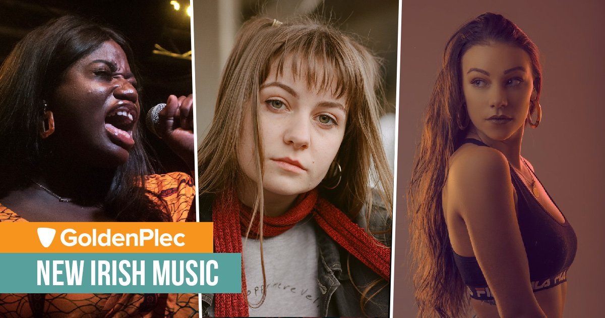 🔸 GoldenPlec 🔸 tweet media