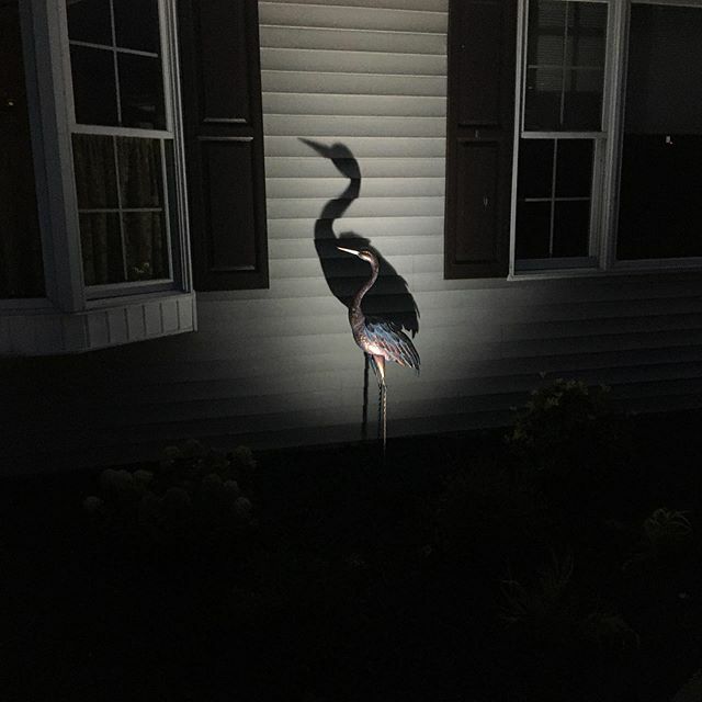 A magnificent addition to the illumination.  Art amazing day and night. #doverde #lightscape #delaware #wilmingtonde #hockessin #newarkde #middletownde #delmarde #miltonde #milfordde #fenwickislanddelaware #lewesdelaware #rehobothbeach #deweybeach #betha… ift.tt/2NtXFMB