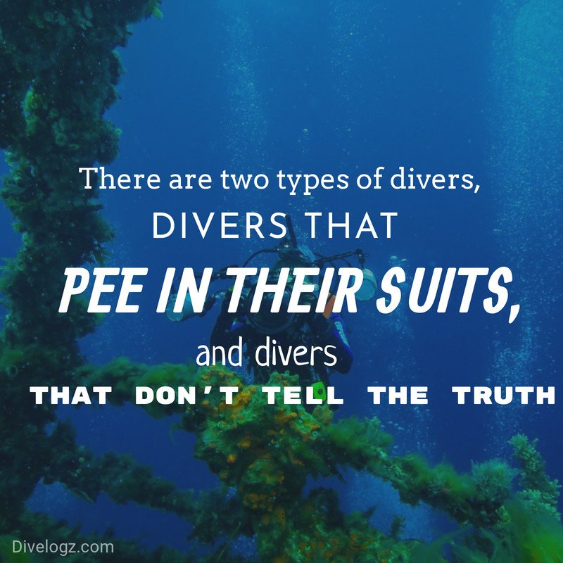 DiveLogz's tweet image. We all know someone who denies it!