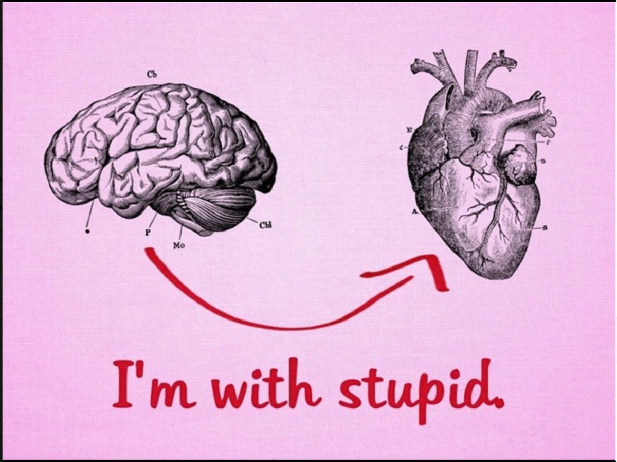 TheProLoveCoach's tweet photo. Yeah, that's about right. Happy Fun Friday! And don't let your heart, rule your brain!
#funfriday #friday #betterdating #goals #datinghelp #datingadvice #relationshipexpert #datingcoach #matchmaker #newjersey #boundaries #TRUTH #postiveaffirmations #newjerseysmatchmaker #silly https://t.co/f3cwLPsmCs