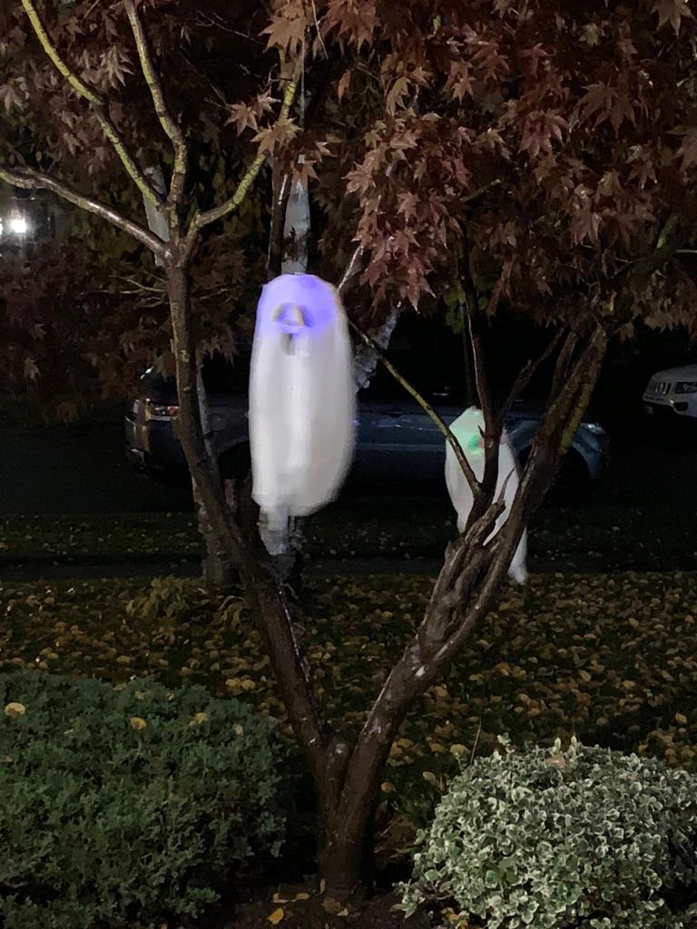 HarryCornbroom's tweet photo. Harry says it was a spooktacular halloween last night
#extracandy
#woohoo https://t.co/V32K71yIlX