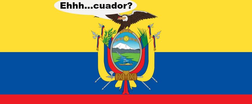 Quiz | Hoe goed ken jij de tekst van Ecuador van Sash? https://t.co/dK6PI4UEW3 https://t.co/YOhCcoRI4h