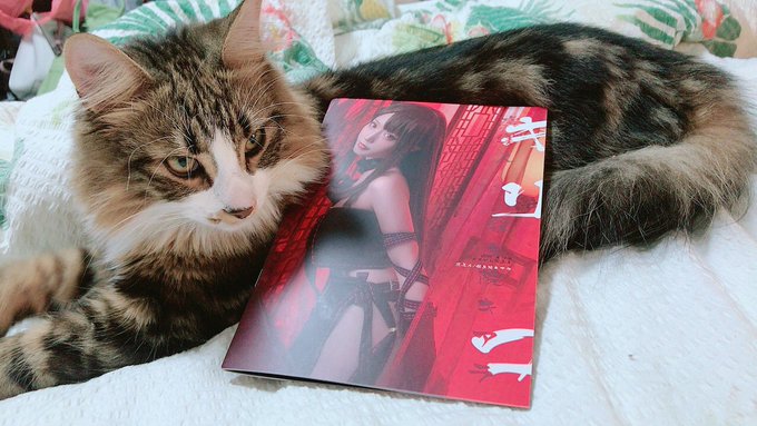 Twitterのコスプレ画像33