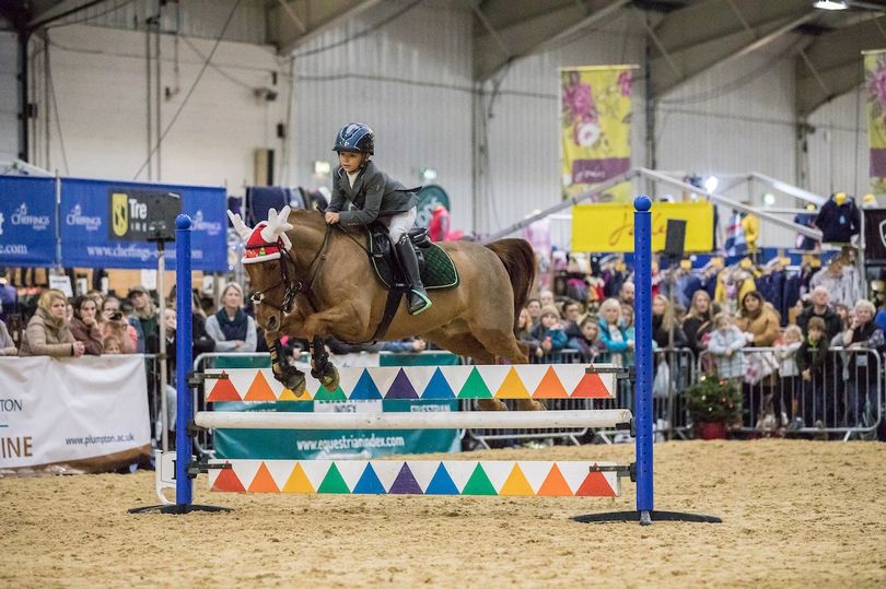 Everything you need to know about the upcoming Westcountry Equine Fair: devonlive.com/special-featur… @EquineSW #Devon #Cornwall #Somerset #equinehour #equestrian #horsechathour #horsehour