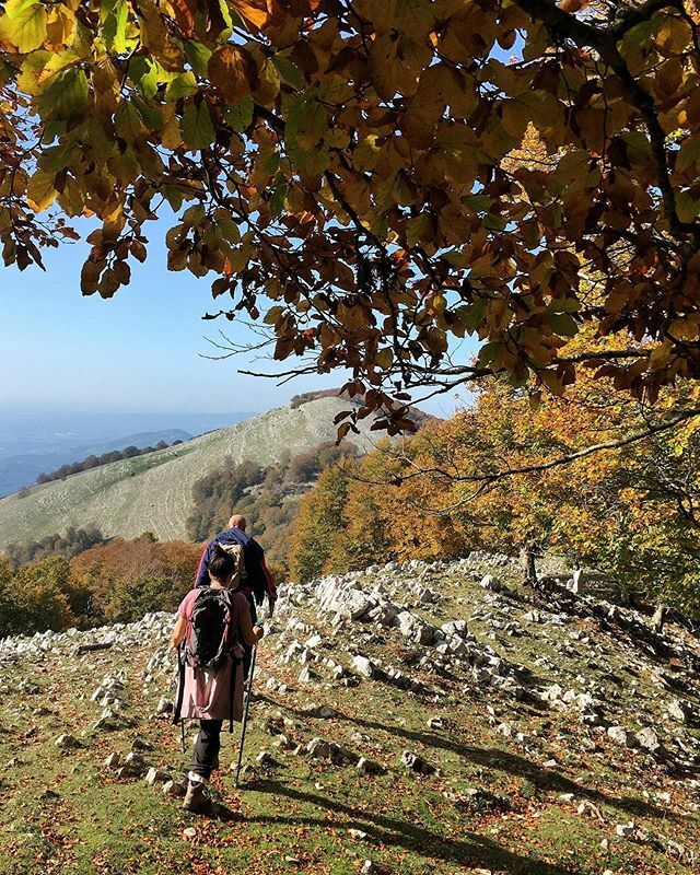 Shevaemi's tweet photo. Coming back .
.
#semprevisa #comingback #path #mountainlovers #trekking #hiking #descent #montilepini #lazio #yellow #autumniscoming #up https://t.co/S4SHv08MgY https://t.co/zeGaHVYMj8