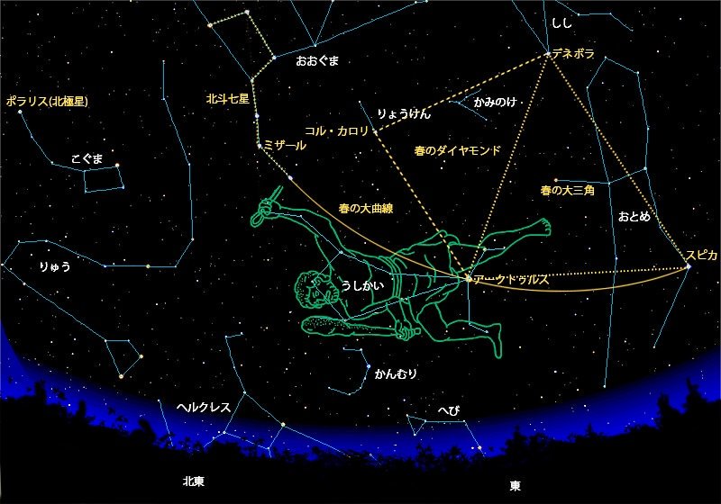 つーちゃん サカイユミコ 11月1日 金 誕生星 11 1 うしかい座 データ ボーティス 星言葉 理想を見つめる 夜空に願いを込めて 誕生星 星言葉 うしかい座 夜空に願いを込めて T Co Feh5ssnnvx