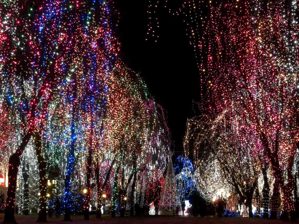 Guide: 2019 Calgary Area Christmas Light Up Festivals raisingcalgary.com/guide-2019-cal…