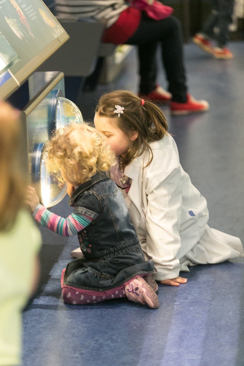 Peterborough Museum & Art Gallery tweet media