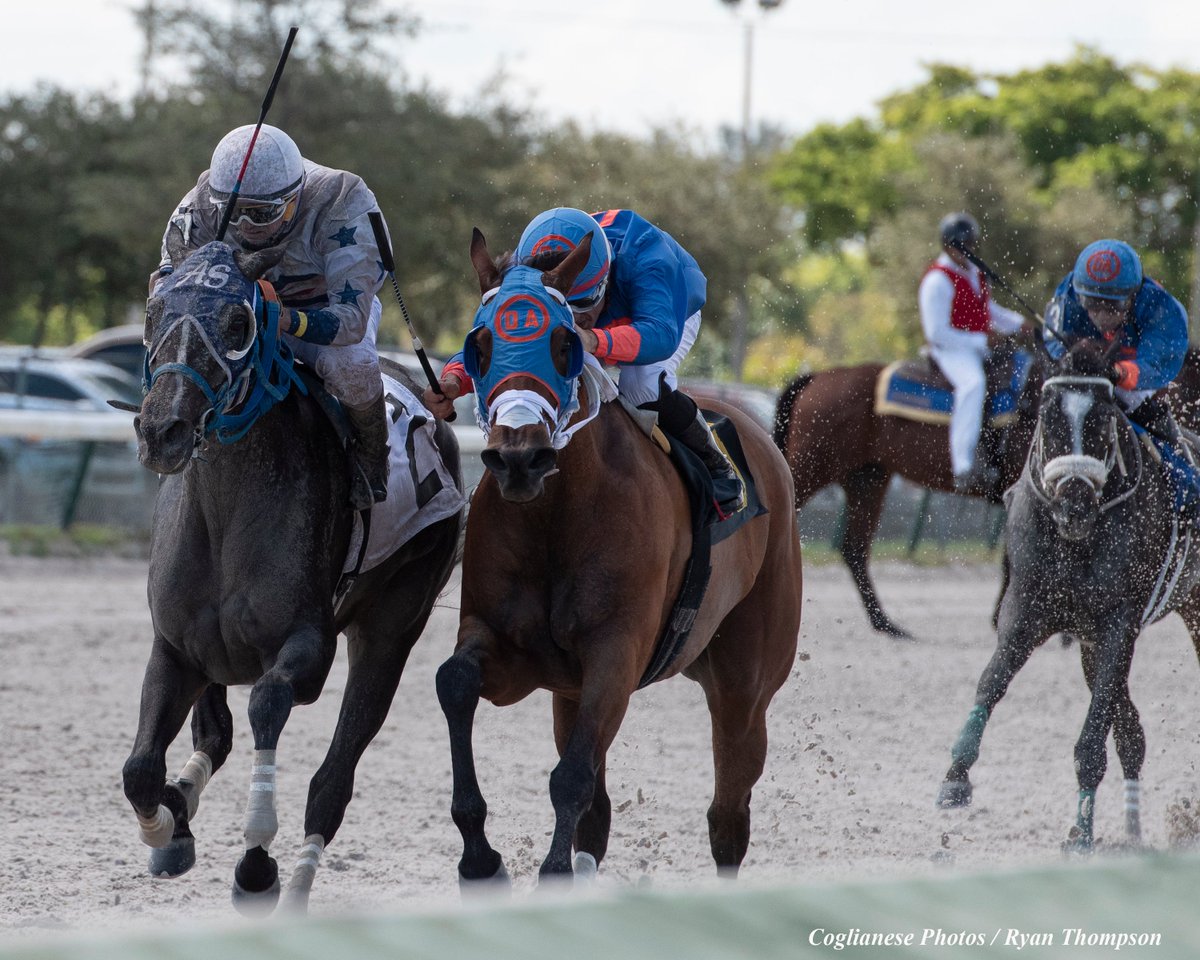 Santiago gonzalez in jockey Santiago gonzalez in jockey