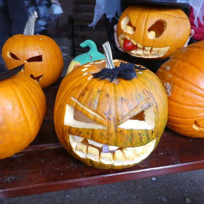 CSBucharest's tweet photo. Hello, gourd-geous! Our Student Union and staff did a fab-boo-lous job preparing the school for our Halloween events this year. It was great to see all of the creative costumes our students came up with! #CSBStudentUnion #CSBLowerSchool #CSBMiddleSchool #CSBHighSchool https://t.co/rrYFmcsuGZ