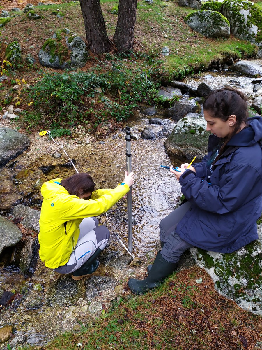 ACAmbientales's tweet photo. Comienza el último campo de voluntariado en #ParquesNacionales2019. Nuestros voluntari@s han muestreado el río Navalmedio en la vertiente madrileña de la Sierra de Guadarrama. @oapngob #VoluntariadoParques #PNSierraDeGuadarrama #ACAteam https://t.co/3CLI6ZTiSM