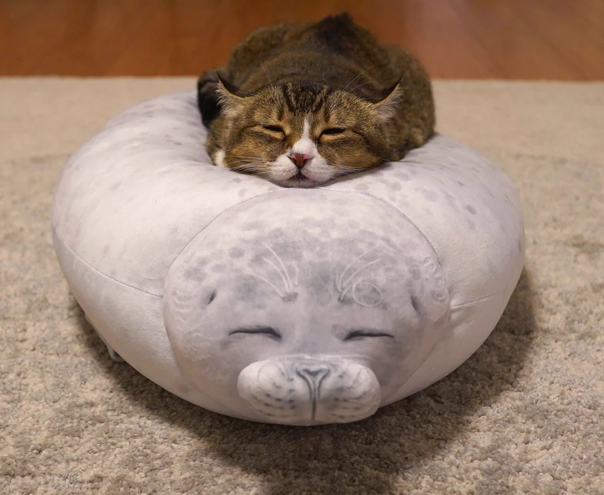 こ、これは・・・www癒されること間違いなし・アザラシのぬいぐるみの上にねこちゃん♡