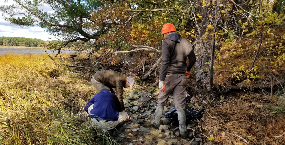 NHDES's tweet photo. The Coastal Program collected 109 lbs of trash from the Great Bay shoreline through the @BlueOceanSoc Adopt-a-Beach program. More beach cleanup info at: https://t.co/MPFmMHxQTm #Watershed #EveryDropNH #CleanBeaches #NH #coastalmanagement #marinedebris #GoCoPro @Coastal_States https://t.co/uRr3eyCca4