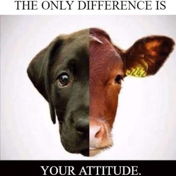 Weweld (@v_pit_stop) on Twitter photo 