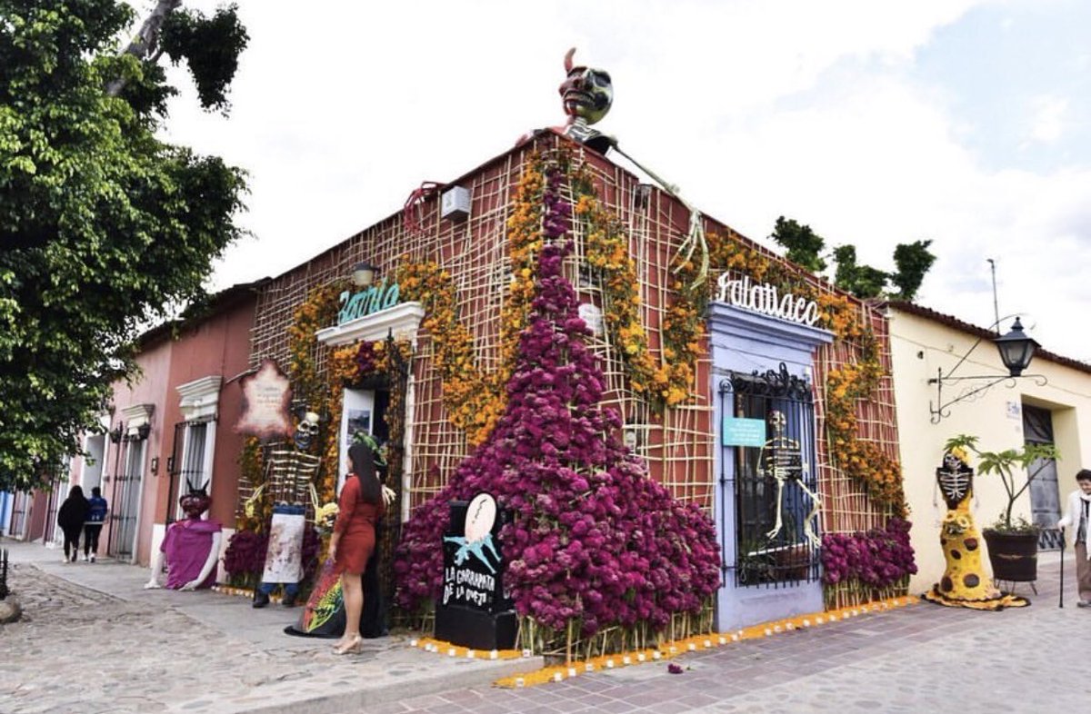 SECTUR_mx's tweet photo. 😍 ¡Qué bonitos son los colores de #Oaxaca! Así lucen sus calles, llenas de flores y con aroma a copal; recorre las casas participantes del “Concurso de Fachadas” durante su Festival de #DiaDeMuertos. ¡Aquí las tradiciones nunca mueren! 🏠 🌼💀🌼🏠

#OaxacaLoTieneTodo https://t.co/b2LkfmhFeI