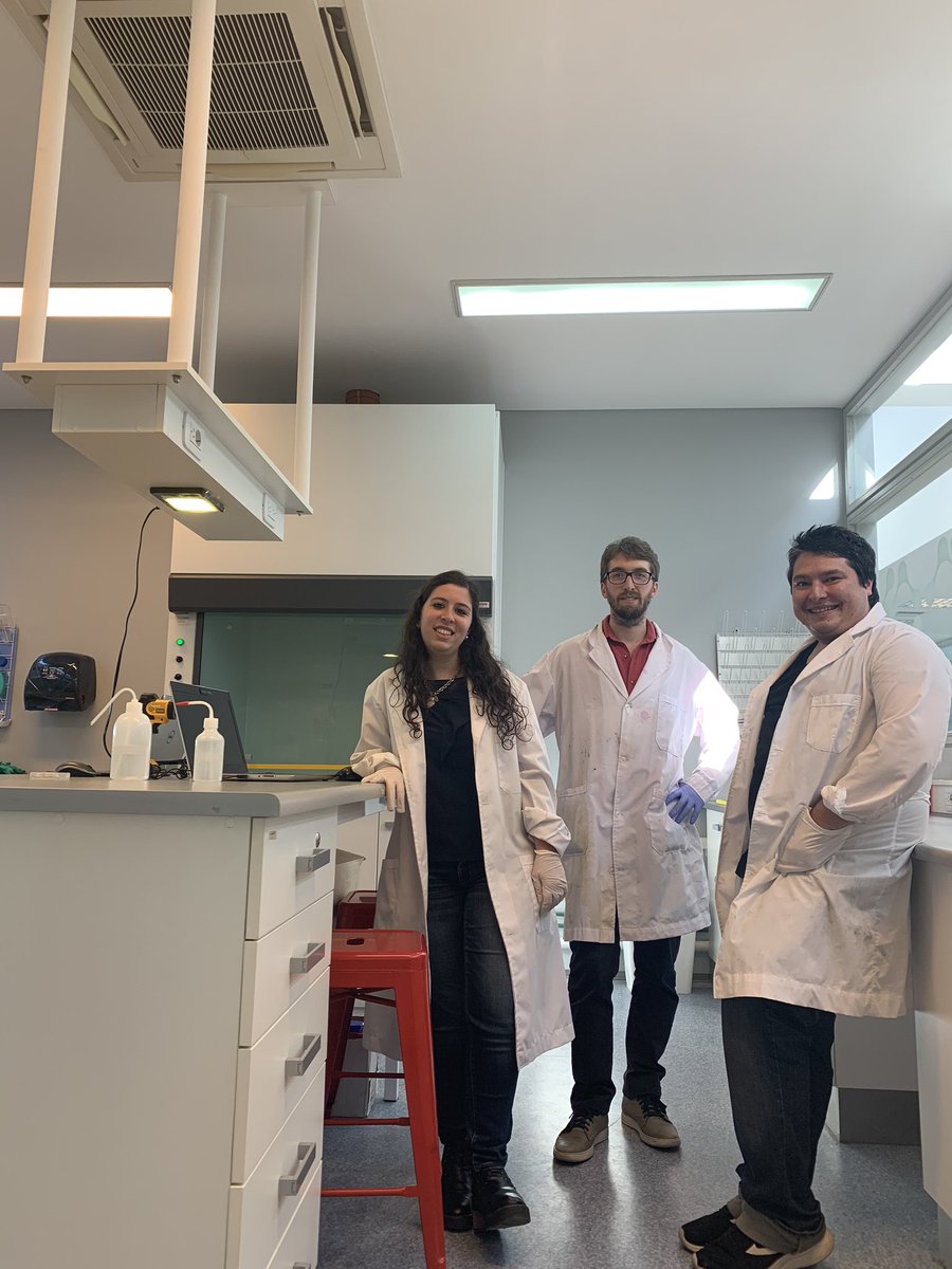 GisensB's tweet image. En la previa a la final de #100KLATAM no nos olvidamos de meterle horas al laboratorio! Estamos preparando algunas novedades para la vuelta de Silicon Valley, asi que no hay descanso!!! Stay tuned! 🤭🤫