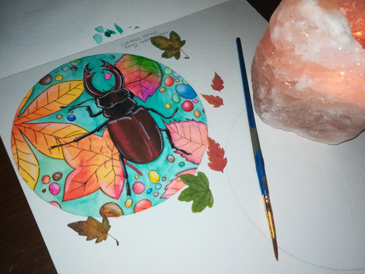 slicerrin's tweet photo. Lycanus Cervus
Nagy Szarvasbogár
#Autumn #bug #lycanuscervus #leaves #artshare #artcommunity #watercolor #watercolorpainting #hymalayansalt #szarvasbogar #colors #autumnfalls https://t.co/QLb0GG6VOP