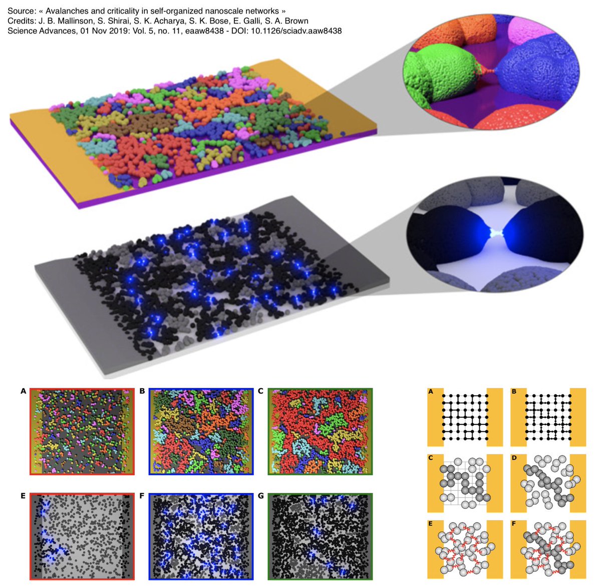 RoyalVoxPost's tweet image. #Nanotech: researchers demonstrate that electrical signals from self-organized networks of nanoparticles can emulate the complexity of the brain. The approach could lead to innovative applications for #ReservoirComputing and #NeuromorphicComputing advances.sciencemag.org/content/5/11/e…