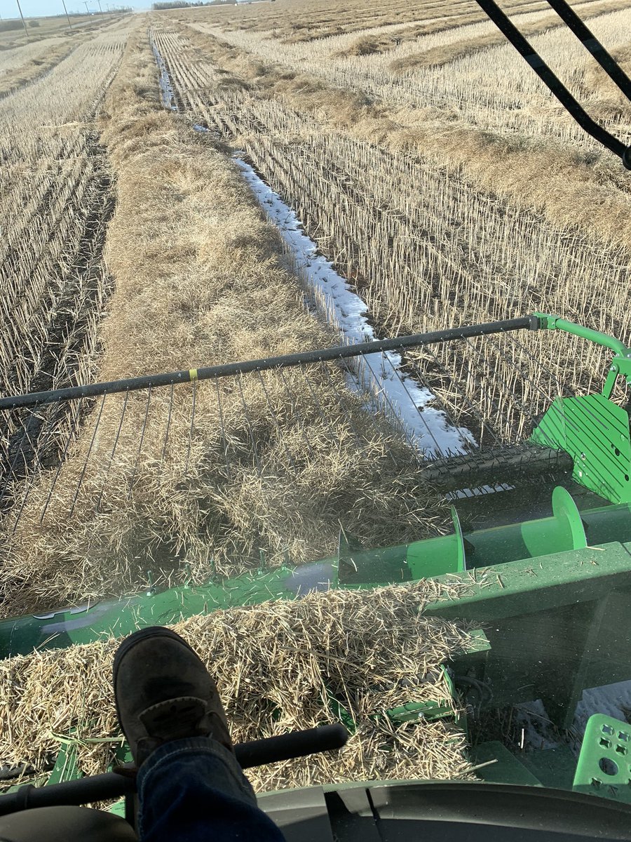 Trying to finish #harvest19 in the snow! #johndeere #abag #canola #DKLB92 #agmorethanever #abfarmers