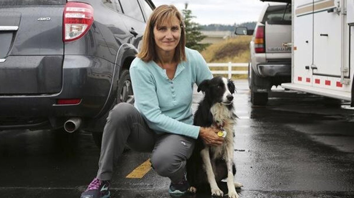 PetCreative tweet picture