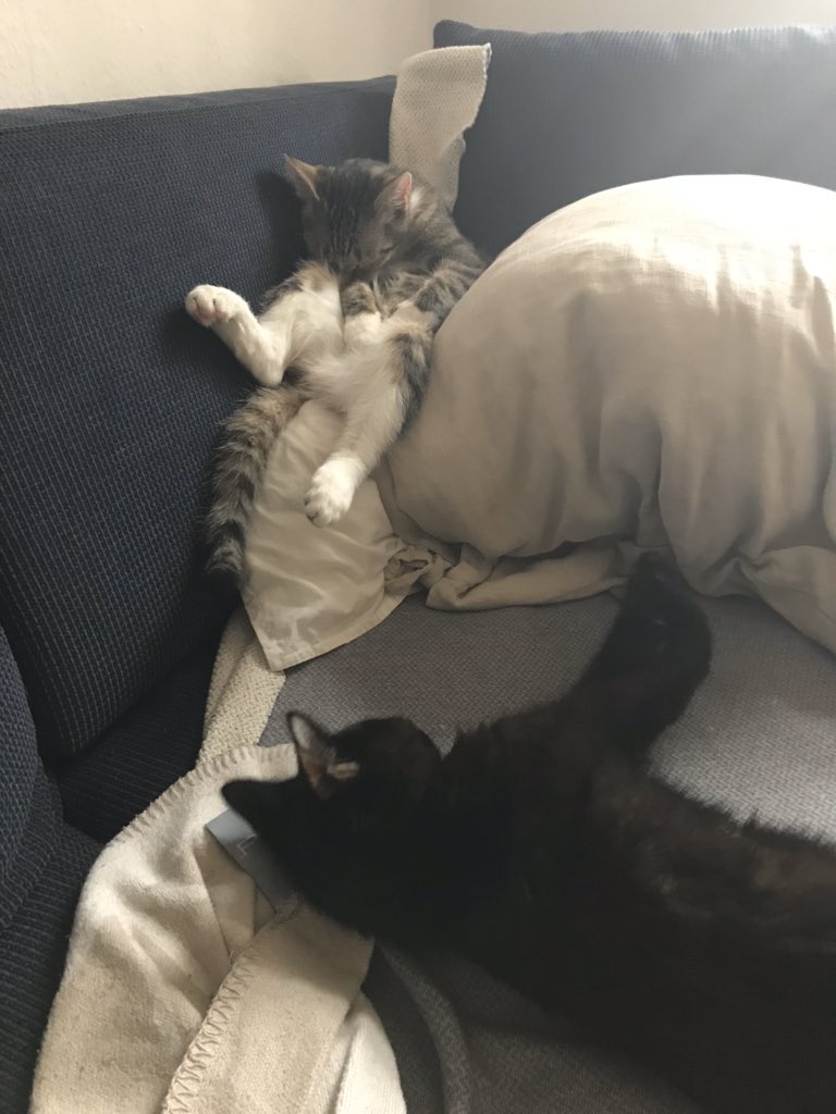 Luis Merino tweet media