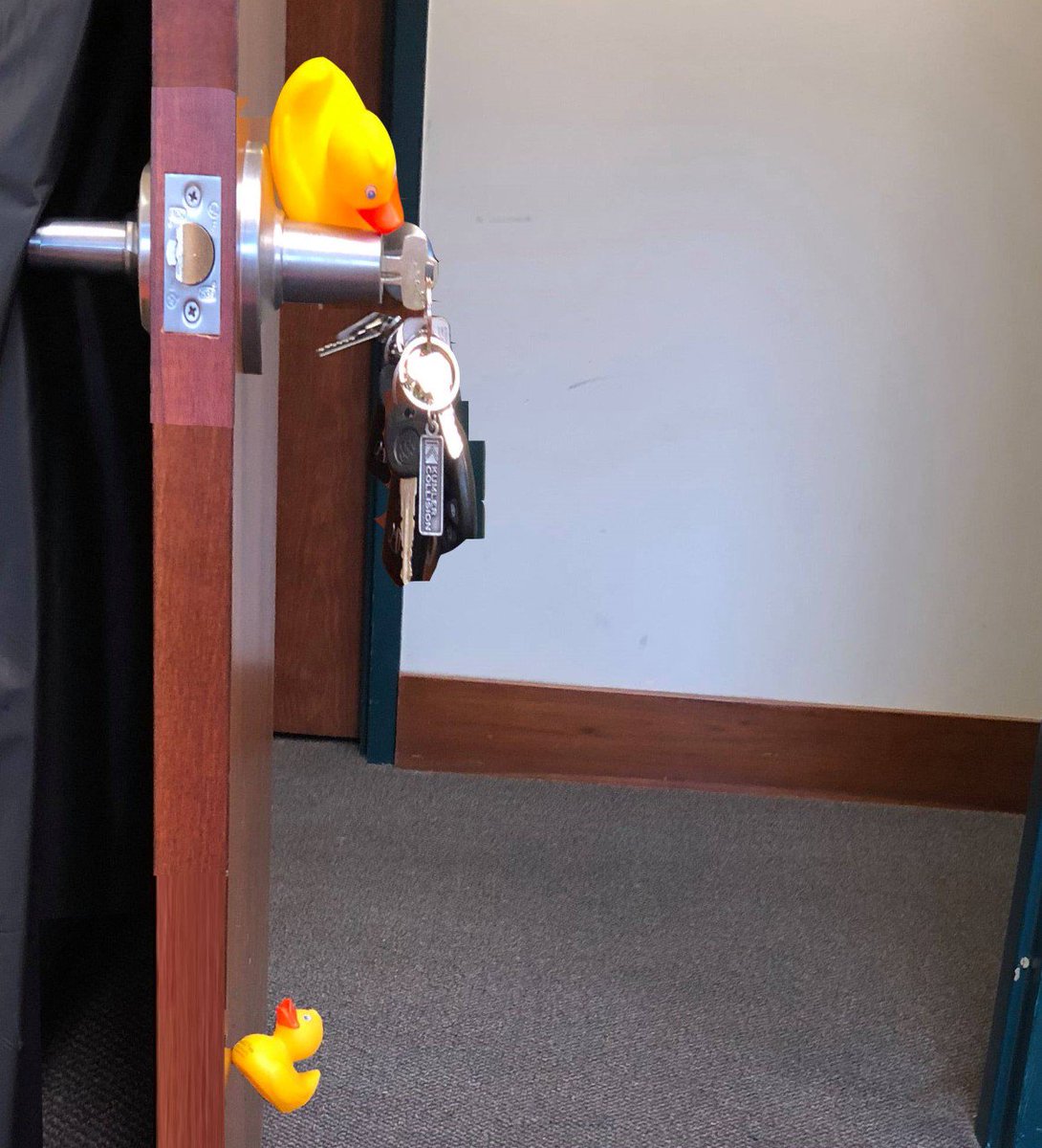 ECTatOHIO's tweet photo. #ectduckoftheweek! Ducks have broken into the regional Lancaster campus of Ohio University! Share your duck pictures with the tag #ectduck! https://t.co/FVM7MqaFZi