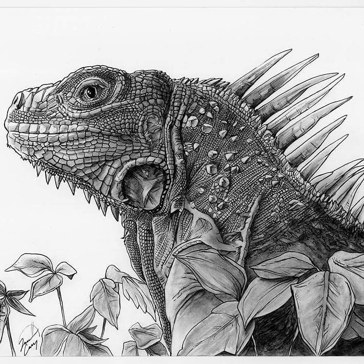 Jason Casey on Twitter "I may not be at ricc this weekend but I'm