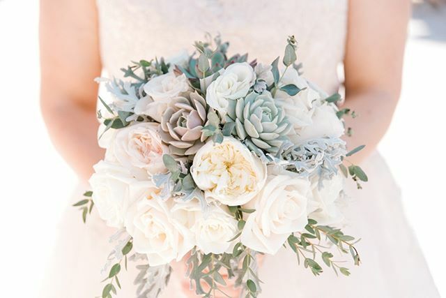deidraphoto's tweet photo. This bouquet by @vipfloraldesigns was so beautiful for Adrienne's fall wedding 🍂 I'm a sucker for succulents and white blooms... 💐
.⁠
.⁠
.⁠
.⁠
.⁠
#neonmuseum #neonmuseumwedding #neon #classicvegas #lasvegasphotographer #rocknrollbride #lasvegasel… https://t.co/YcCrm8jke2 https://t.co/fzRzqOpmkb