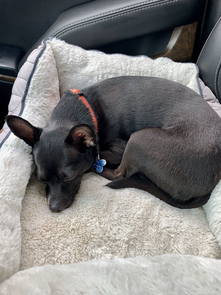 Waiting on our middle schooler 😴<a href="/DeLandMiddle/">DeLand Middle Terriers</a>