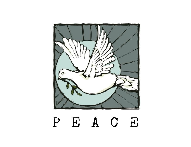 Fairfield United – Nov 3, 2019 Newsletter - Fall Back 🍂🍃🌿 - mailchi.mp/c56735226694/f…