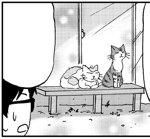 11/5発売まんがタウン12月号のコミックエッセイ「やっぱり猫が好き」に、2P描かせていただいておりますー。
今回はむかーし飼っていた猫のお話。 