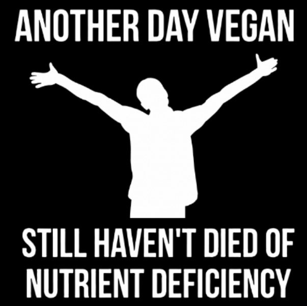 Happy #WorldVeganDay 🌱 
<a href="/djamieable/">fran 💭</a>