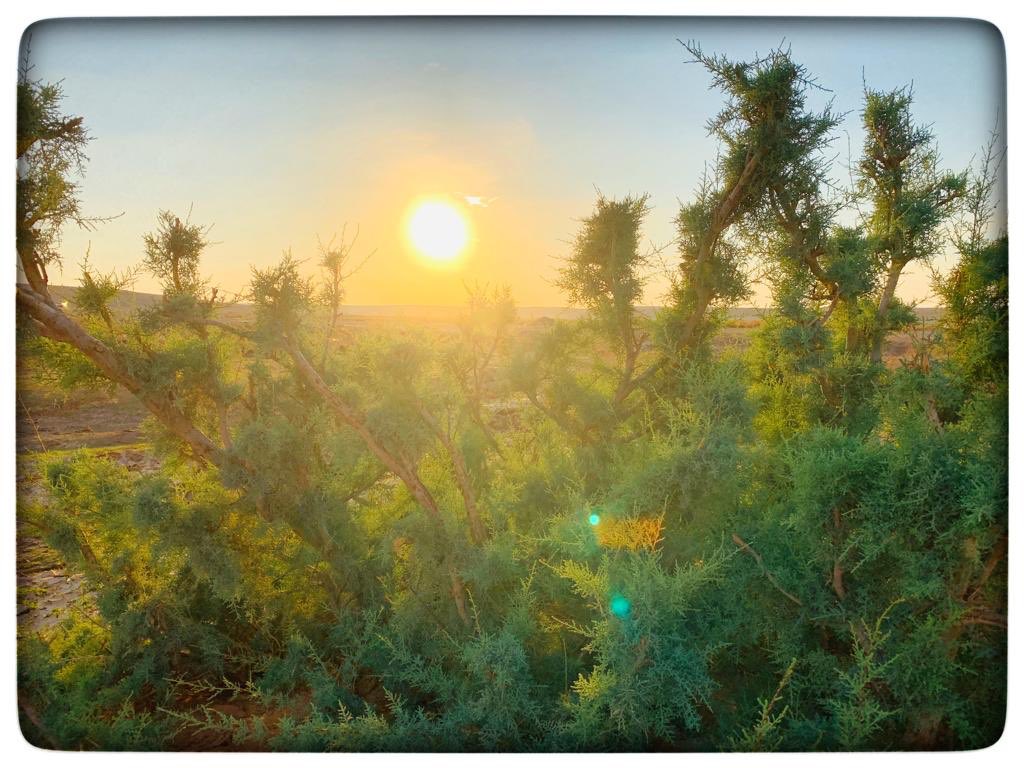 AbuRayan_MS's tweet photo. من تصويري 

مقابل هجرة البكر 2019/11/01

نسأل الله أن يجعل عامنا هذا 
عام خيراً ورخاء للبلاد والعباد

#الحدود_الشمالية #عرعر https://t.co/rQmdeYnCUZ