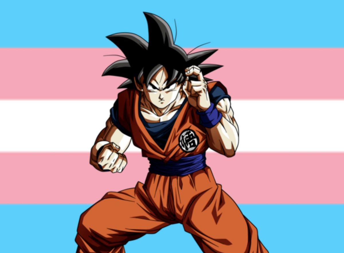 TransRightsBabe's tweet photo. Goku from Dragon Ball says trans rights!! https://t.co/dCN6ShKI4H