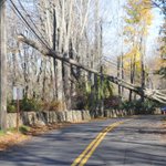 Photo by The Ridgefield Press (@RidgefieldPress)